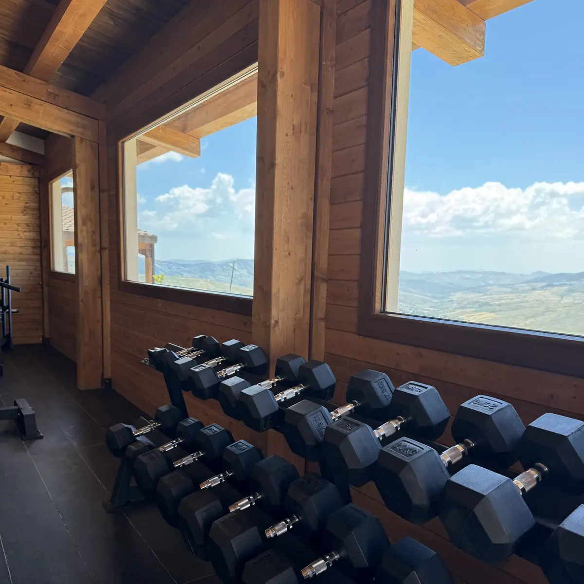 I manubri in fila nella palestra, con la vetrata sui monti